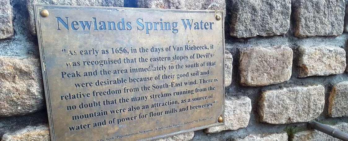 Newlands Spring Brewing Company brewery