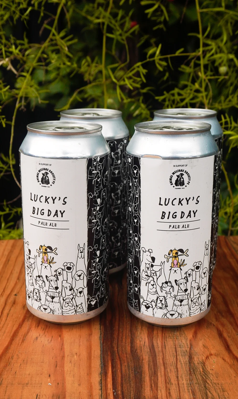 Lucky's Big Day by Richmond Hill Brewing Company
