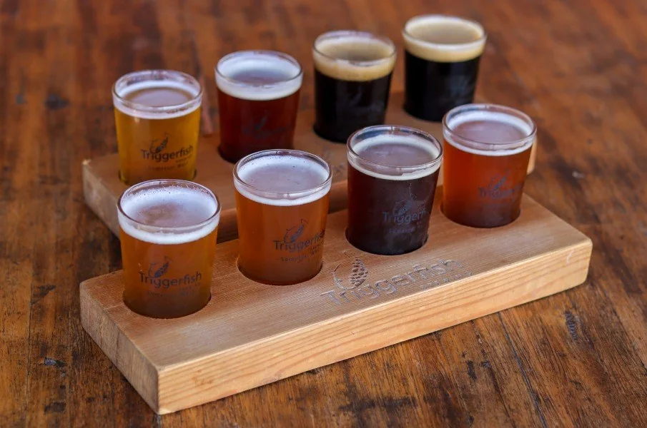 Triggerfish Brewing Company brewery